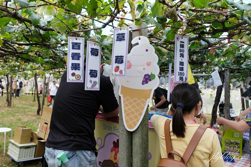 台中新社｜新峰農場．葡萄園的浪漫下午茶，採果體驗和戶外教室 @飛天璇的口袋
