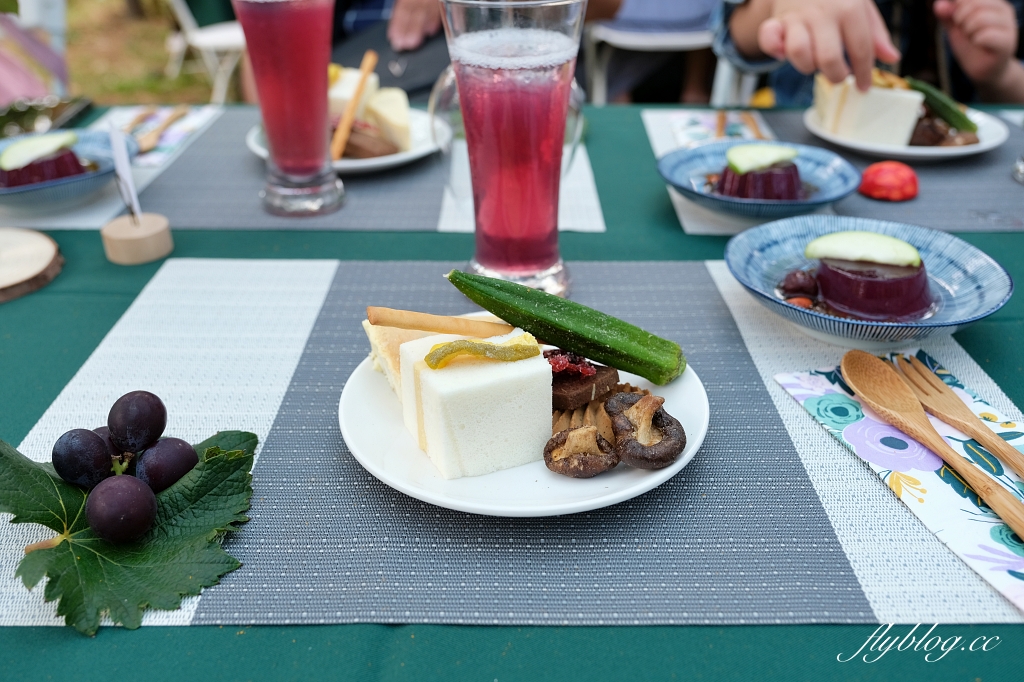 台中新社｜新峰農場．葡萄園的浪漫下午茶，採果體驗和戶外教室 @飛天璇的口袋