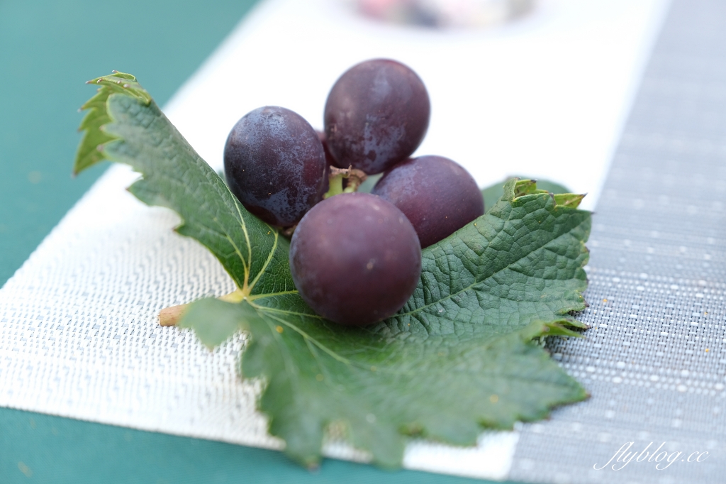 台中新社｜新峰農場．葡萄園的浪漫下午茶，採果體驗和戶外教室 @飛天璇的口袋