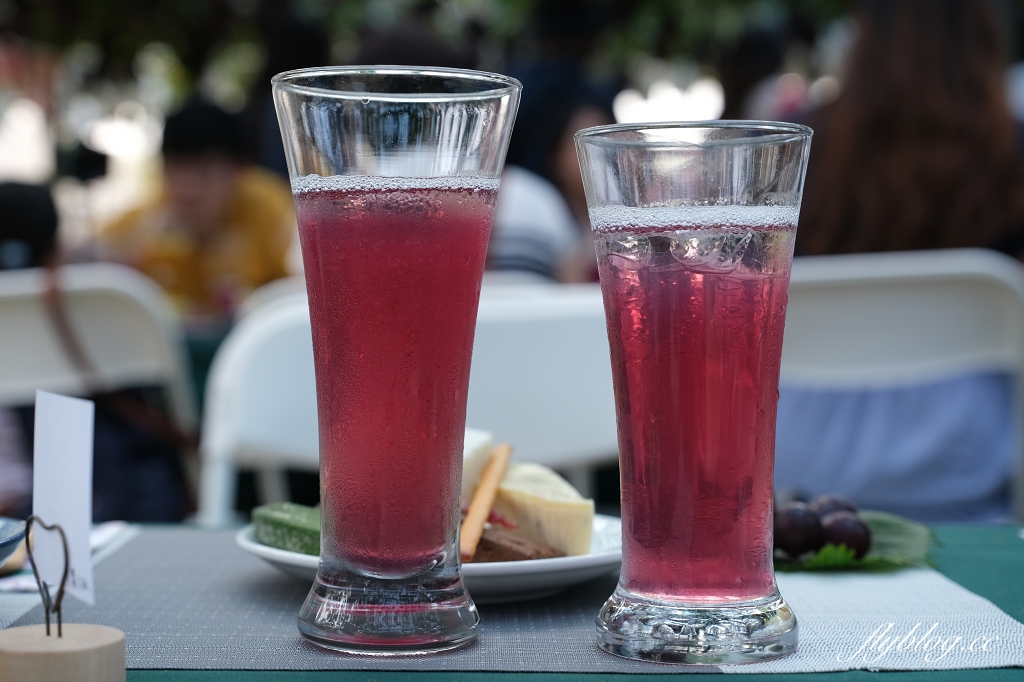 台中新社｜新峰農場．葡萄園的浪漫下午茶，採果體驗和戶外教室 @飛天璇的口袋