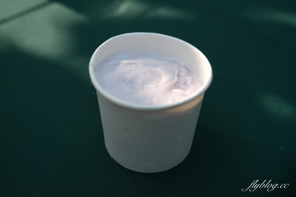 台中新社｜新峰農場．葡萄園的浪漫下午茶，採果體驗和戶外教室 @飛天璇的口袋