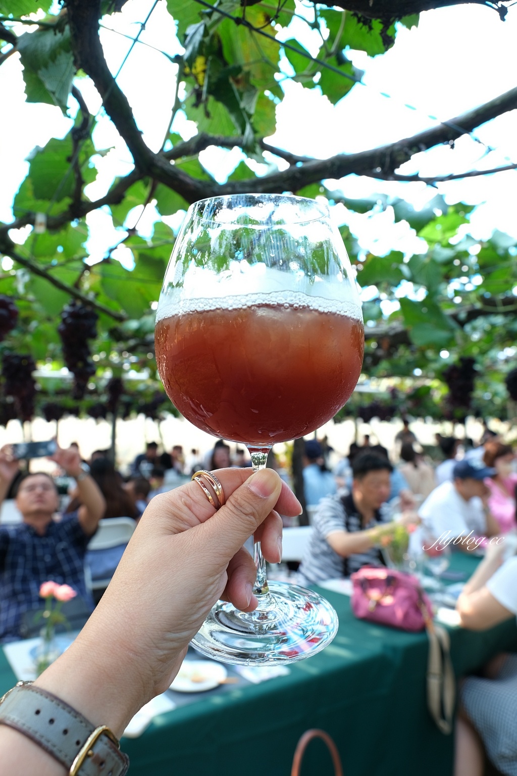 台中新社｜新峰農場．葡萄園的浪漫下午茶，採果體驗和戶外教室 @飛天璇的口袋