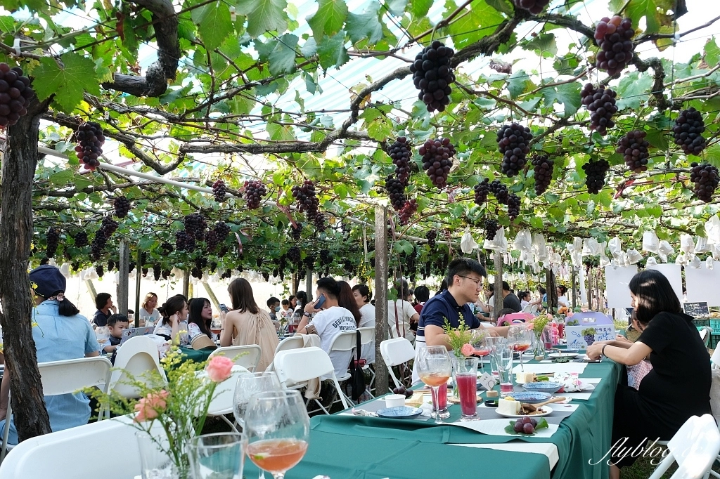 台中新社｜新峰農場．葡萄園的浪漫下午茶，採果體驗和戶外教室 @飛天璇的口袋