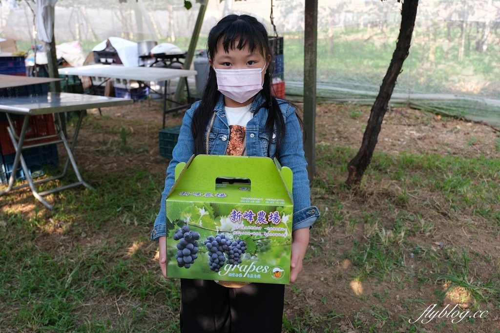 台中新社｜新峰農場．葡萄園的浪漫下午茶，採果體驗和戶外教室 @飛天璇的口袋