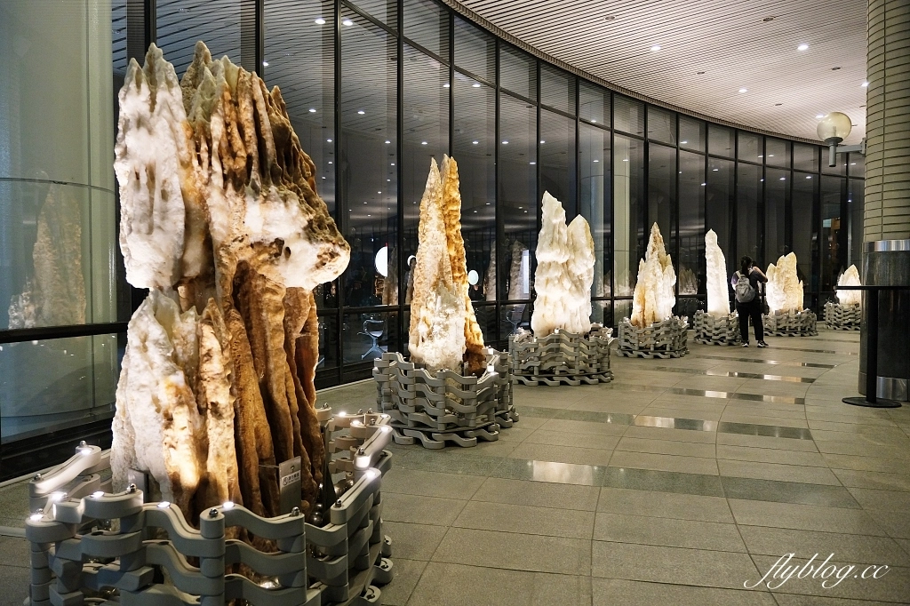 國立自然科學博物館｜館前一號所 EPISODE-01，4小時的夜間博物館新體驗，欸！什麼都給我來一點 @飛天璇的口袋