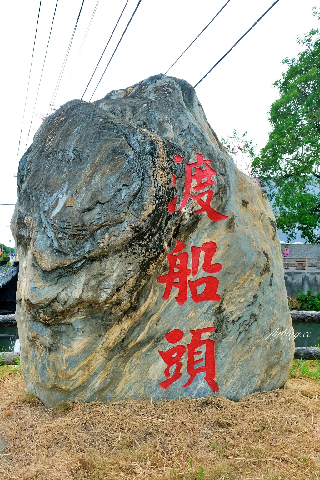 北斗河濱公園|一期一會的美人樹風吹雪,從渡船頭開始綿延1.5公里 @飛天璇的口袋 北斗河濱公園|一期一會的美人樹風吹雪,從渡船頭開始綿延1.5公里 @飛天璇的口袋