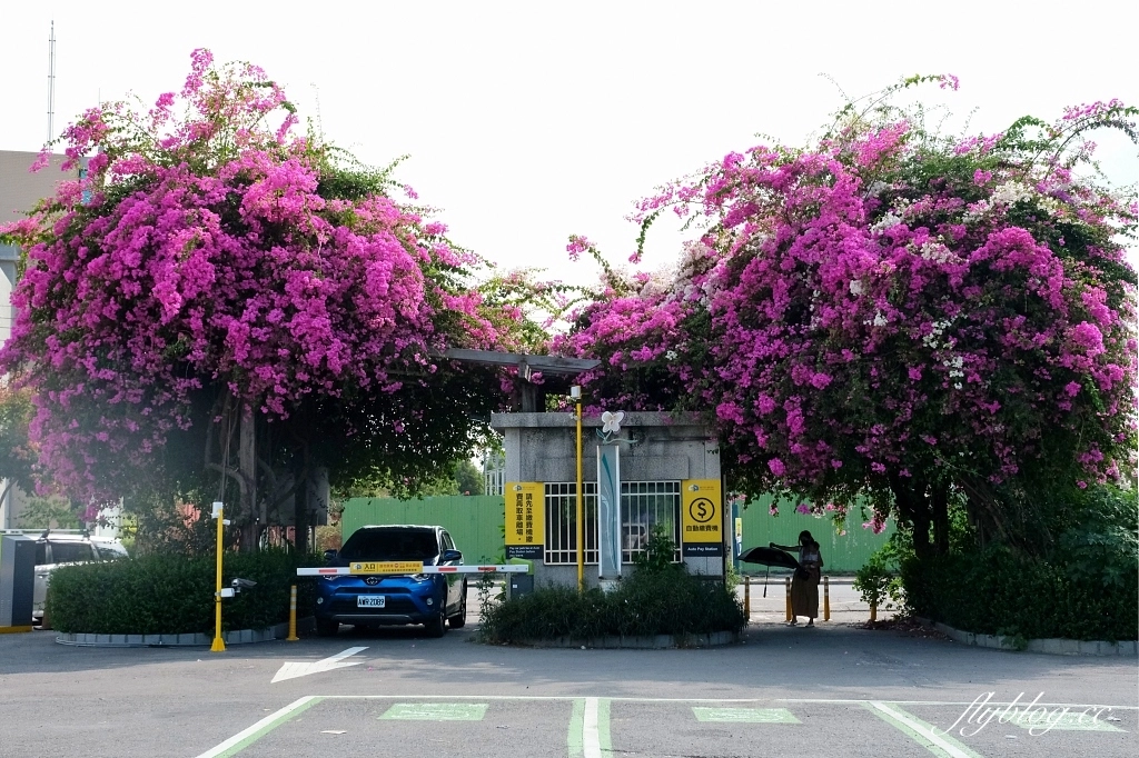 彰化田尾|好田森林, 超Q恐龍主題彰化親子景點,恐龍森林、椰林沙灘、滑草山丘、空中卡丁車 @飛天璇的口袋 彰化田尾|好田森林, 超Q恐龍主題彰化親子景點,恐龍森林、椰林沙灘、滑草山丘、空中卡丁車 @飛天璇的口袋