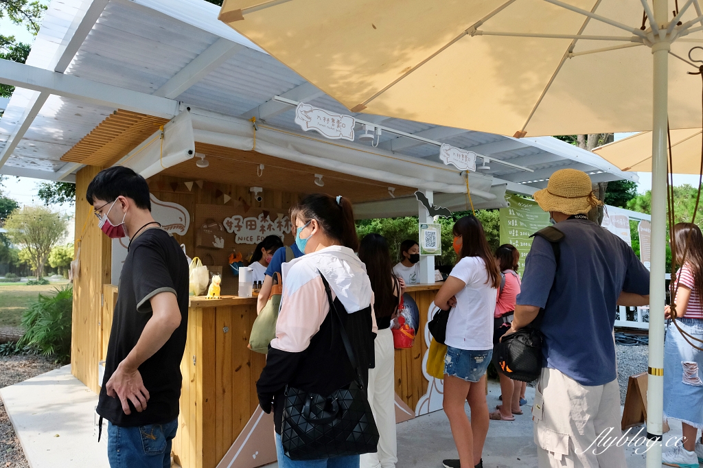 彰化田尾｜好田森林， 超Q恐龍主題彰化親子景點，恐龍森林、椰林沙灘、滑草山丘、空中卡丁車 @飛天璇的口袋