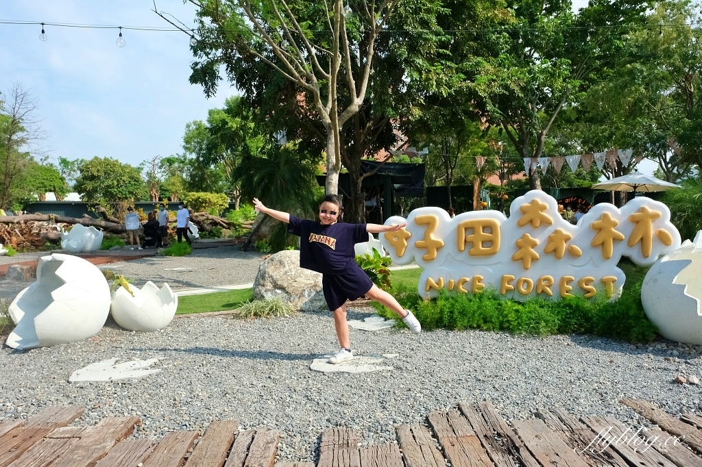 彰化田尾｜好田森林， 超Q恐龍主題彰化親子景點，恐龍森林、椰林沙灘、滑草山丘、空中卡丁車 @飛天璇的口袋