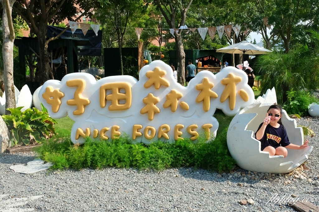 彰化田尾｜好田森林， 超Q恐龍主題彰化親子景點，恐龍森林、椰林沙灘、滑草山丘、空中卡丁車 @飛天璇的口袋