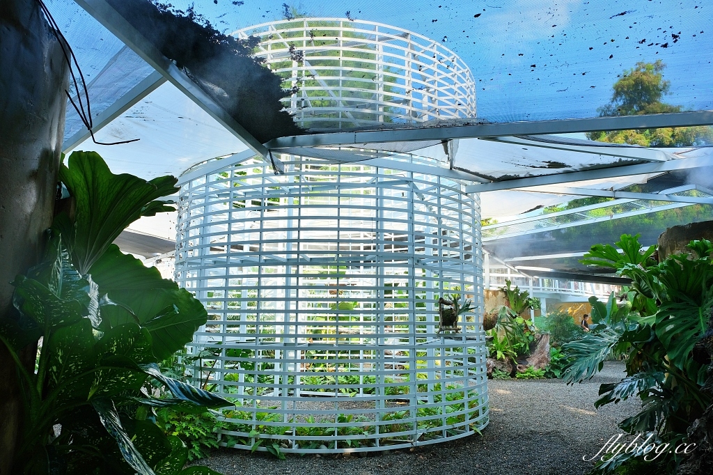 彰化田尾|好田森林, 超Q恐龍主題彰化親子景點,恐龍森林、椰林沙灘、滑草山丘、空中卡丁車 @飛天璇的口袋 彰化田尾|好田森林, 超Q恐龍主題彰化親子景點,恐龍森林、椰林沙灘、滑草山丘、空中卡丁車 @飛天璇的口袋