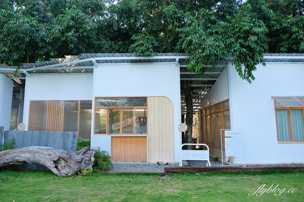 彰化田尾｜好田森林， 超Q恐龍主題彰化親子景點，恐龍森林、椰林沙灘、滑草山丘、空中卡丁車 @飛天璇的口袋