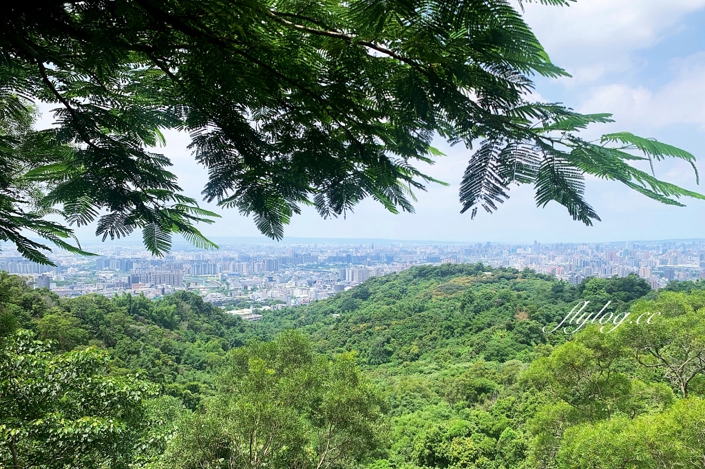 台中北屯｜大坑10號步道．充滿綠意的自然景觀，階梯涼亭眺望市景 @飛天璇的口袋