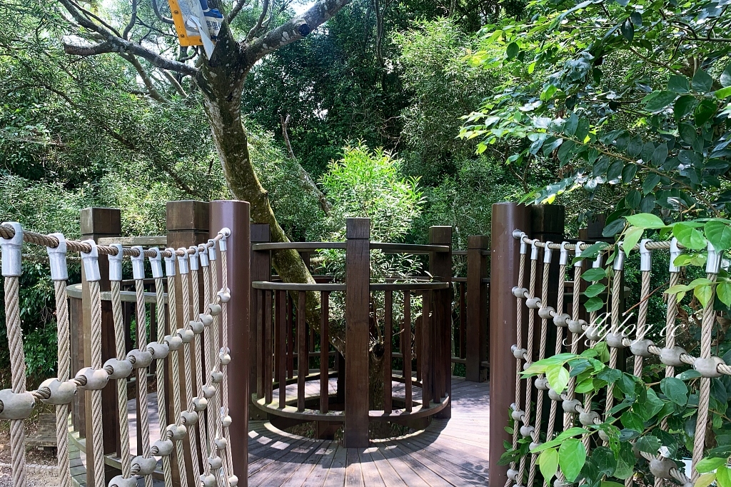 台中北屯｜大坑10號步道．充滿綠意的自然景觀，階梯涼亭眺望市景 @飛天璇的口袋
