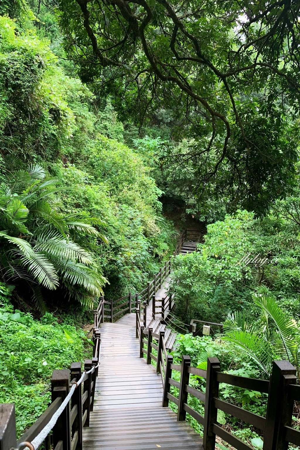 台中北屯｜大坑10號步道．充滿綠意的自然景觀，階梯涼亭眺望市景 @飛天璇的口袋