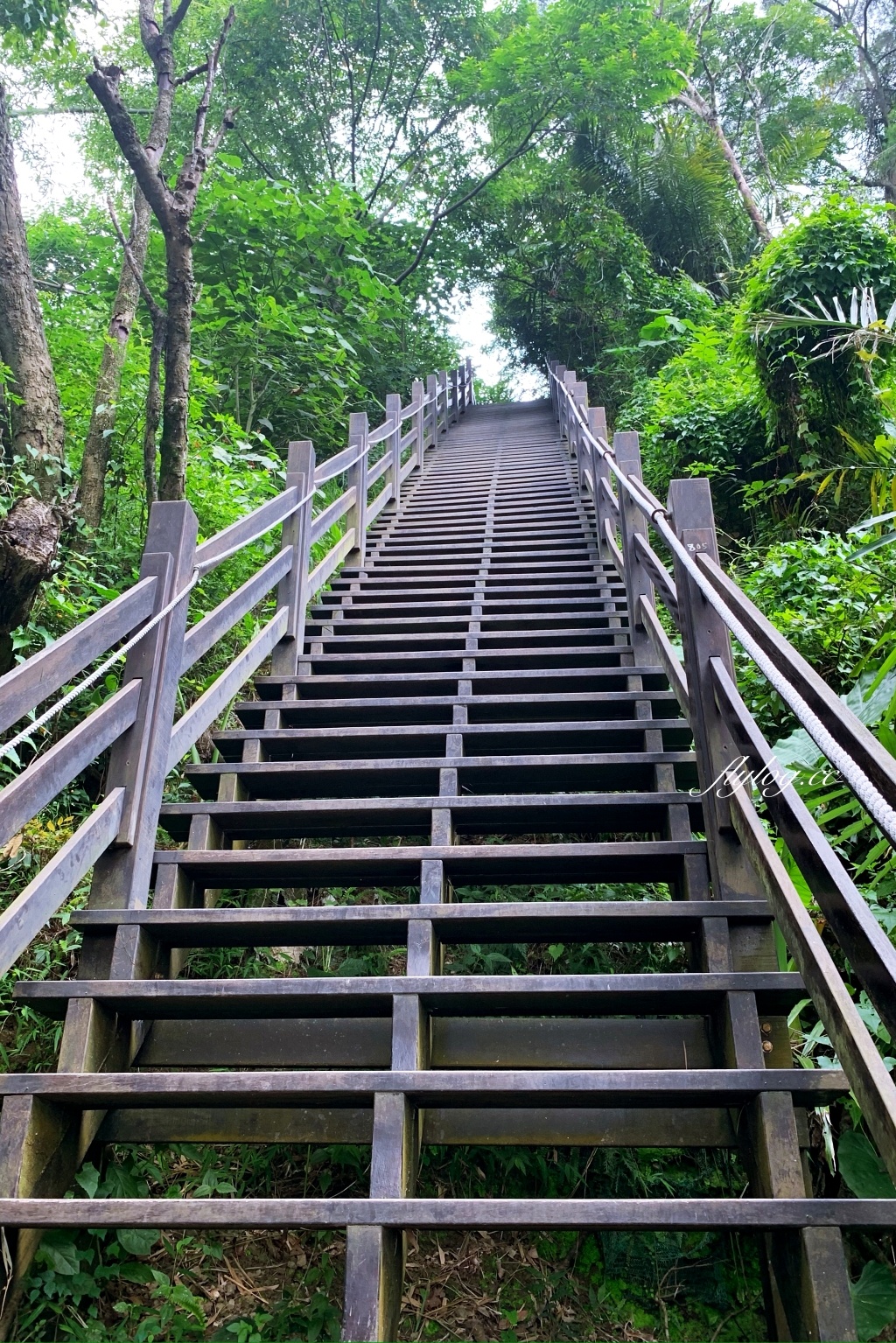 台中北屯｜大坑10號步道．充滿綠意的自然景觀，階梯涼亭眺望市景 @飛天璇的口袋