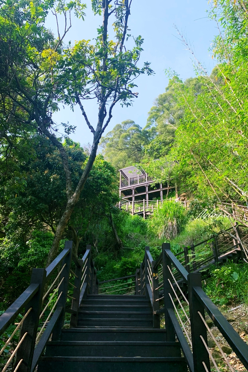 台中北屯｜大坑10號步道．充滿綠意的自然景觀，階梯涼亭眺望市景 @飛天璇的口袋