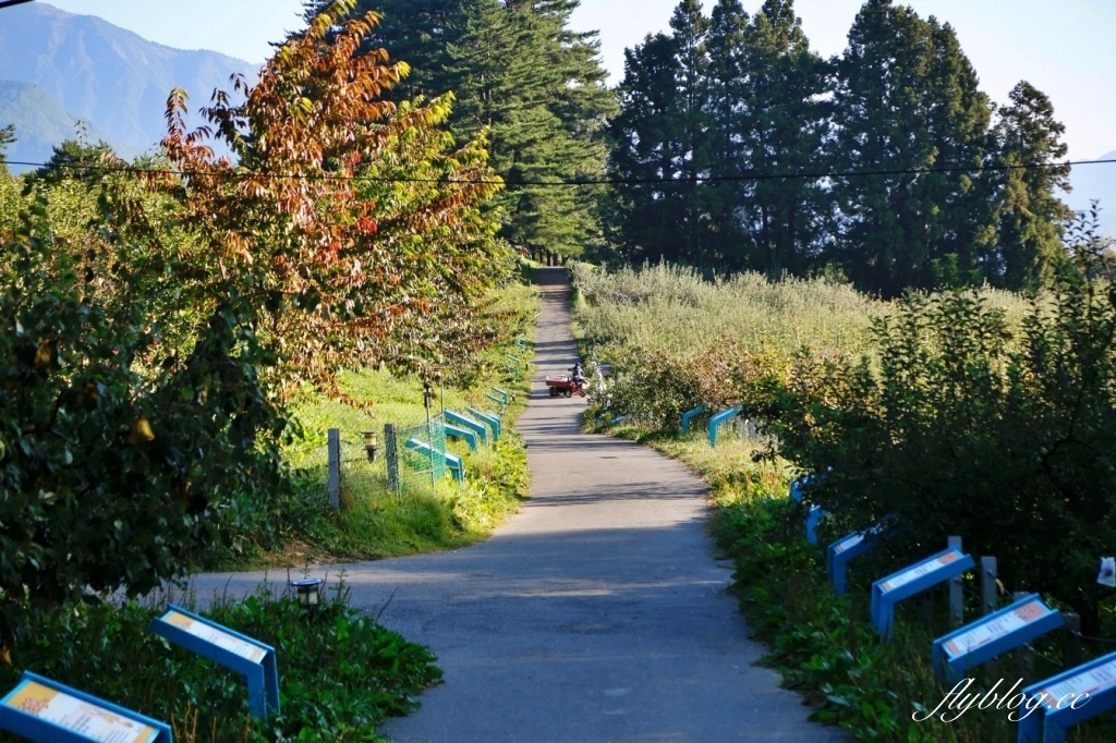 台中和平｜武陵福壽山2天1夜．經中橫到福壽山武陵採果樂，或是參加旅行社套裝行程 @飛天璇的口袋
