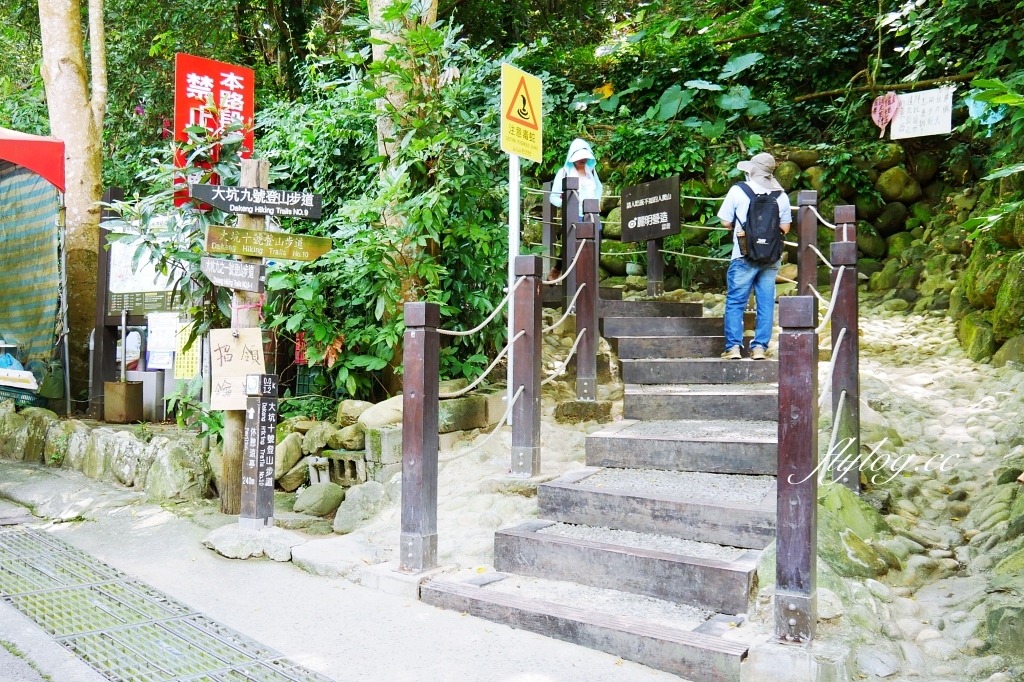 台中北屯｜大坑10號步道．充滿綠意的自然景觀，階梯涼亭眺望市景 @飛天璇的口袋