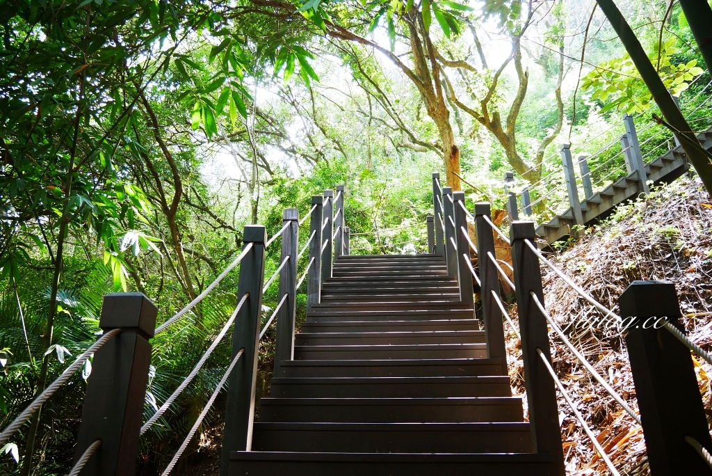 台中北屯｜大坑10號步道．充滿綠意的自然景觀，階梯涼亭眺望市景 @飛天璇的口袋
