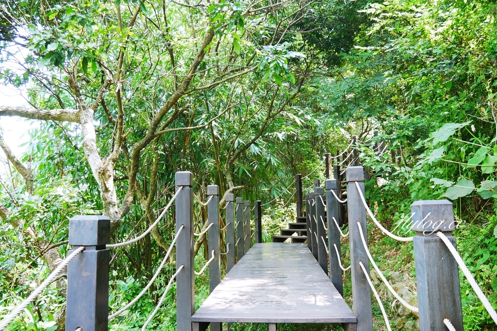 台中北屯｜大坑10號步道．充滿綠意的自然景觀，階梯涼亭眺望市景 @飛天璇的口袋