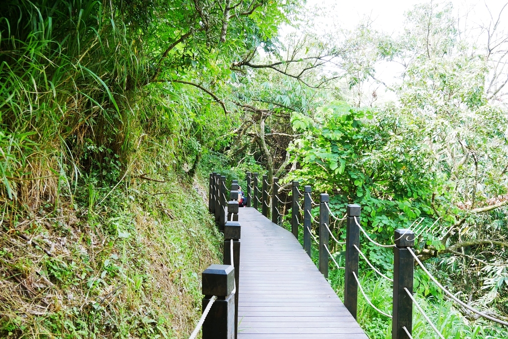 台中北屯｜大坑10號步道．充滿綠意的自然景觀，階梯涼亭眺望市景 @飛天璇的口袋