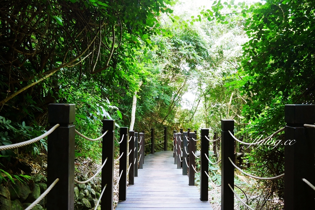 台中北屯｜大坑10號步道．充滿綠意的自然景觀，階梯涼亭眺望市景 @飛天璇的口袋