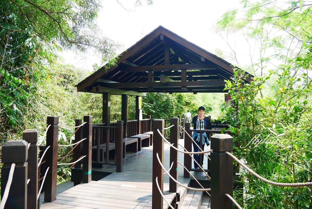 台中北屯｜大坑10號步道．充滿綠意的自然景觀，階梯涼亭眺望市景 @飛天璇的口袋