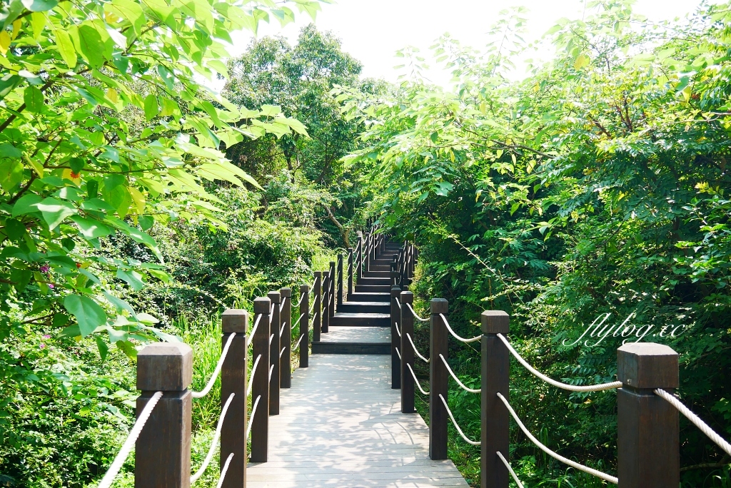 台中北屯｜大坑10號步道．充滿綠意的自然景觀，階梯涼亭眺望市景 @飛天璇的口袋