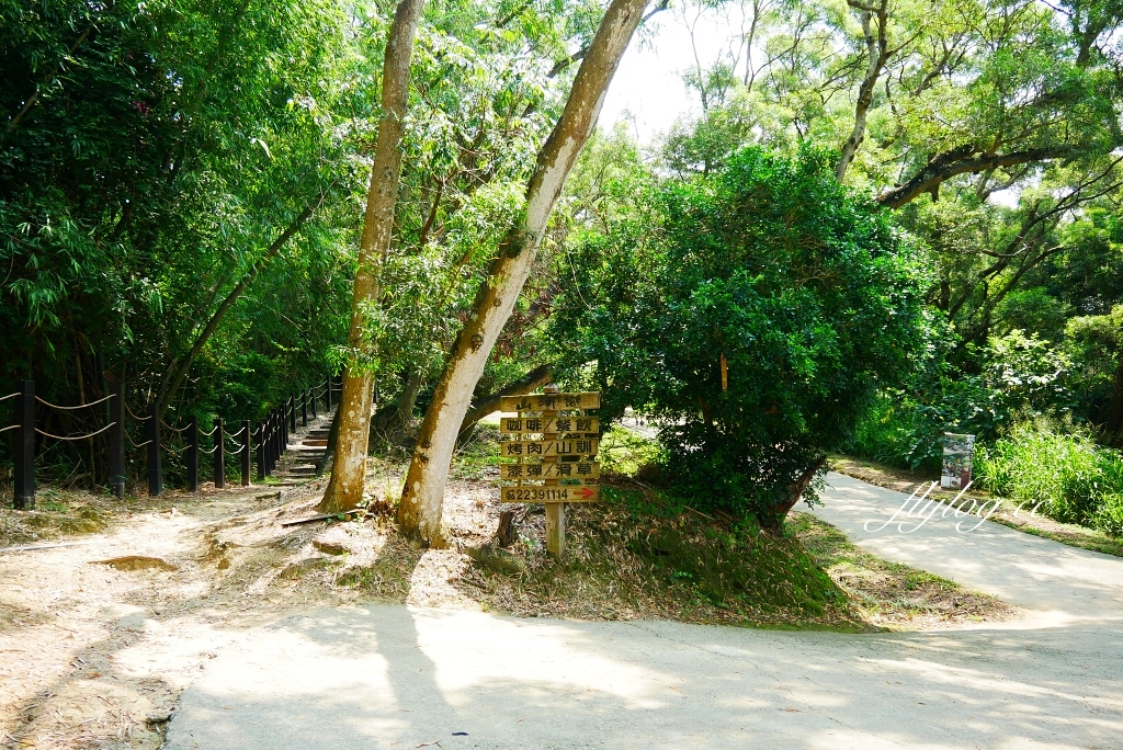 台中北屯｜大坑10號步道．充滿綠意的自然景觀，階梯涼亭眺望市景 @飛天璇的口袋