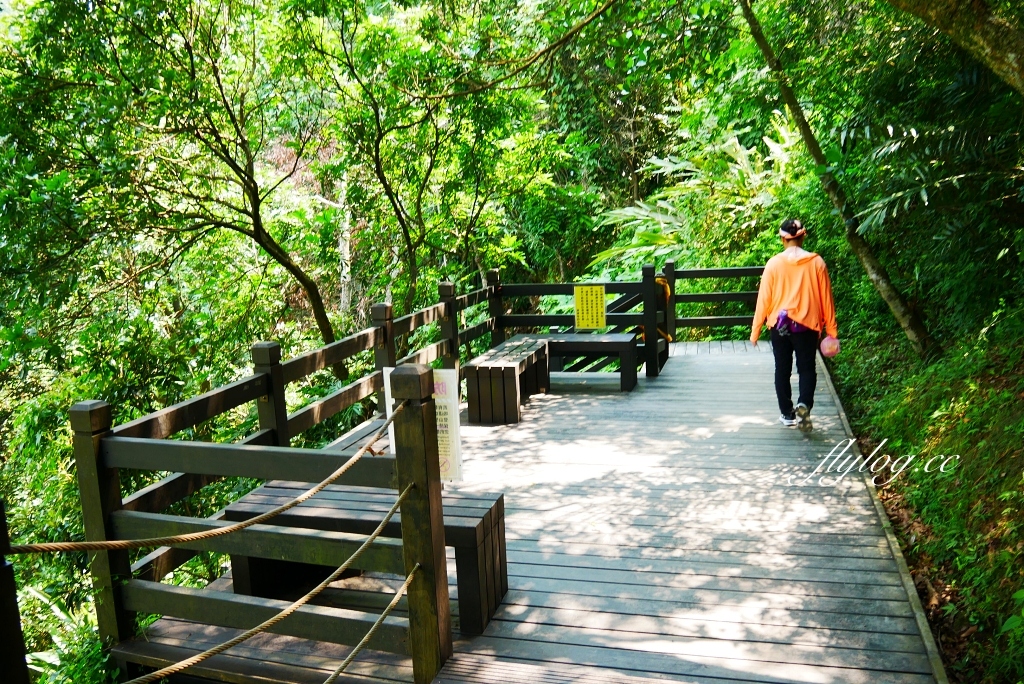 台中北屯｜大坑10號步道．充滿綠意的自然景觀，階梯涼亭眺望市景 @飛天璇的口袋