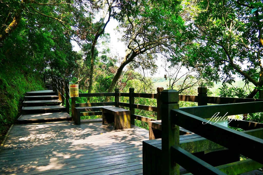 台中北屯｜大坑10號步道．充滿綠意的自然景觀，階梯涼亭眺望市景 @飛天璇的口袋