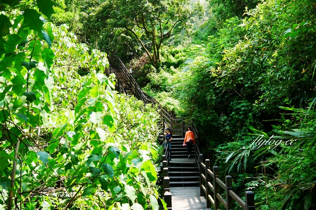 台中北屯｜大坑10號步道．充滿綠意的自然景觀，階梯涼亭眺望市景 @飛天璇的口袋