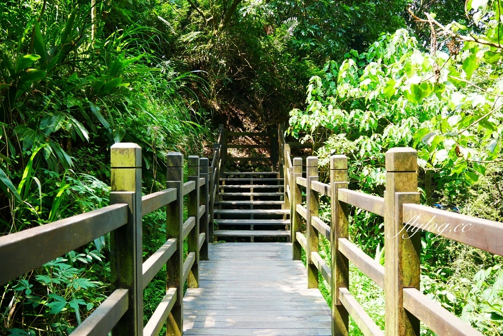 台中北屯｜大坑10號步道．充滿綠意的自然景觀，階梯涼亭眺望市景 @飛天璇的口袋