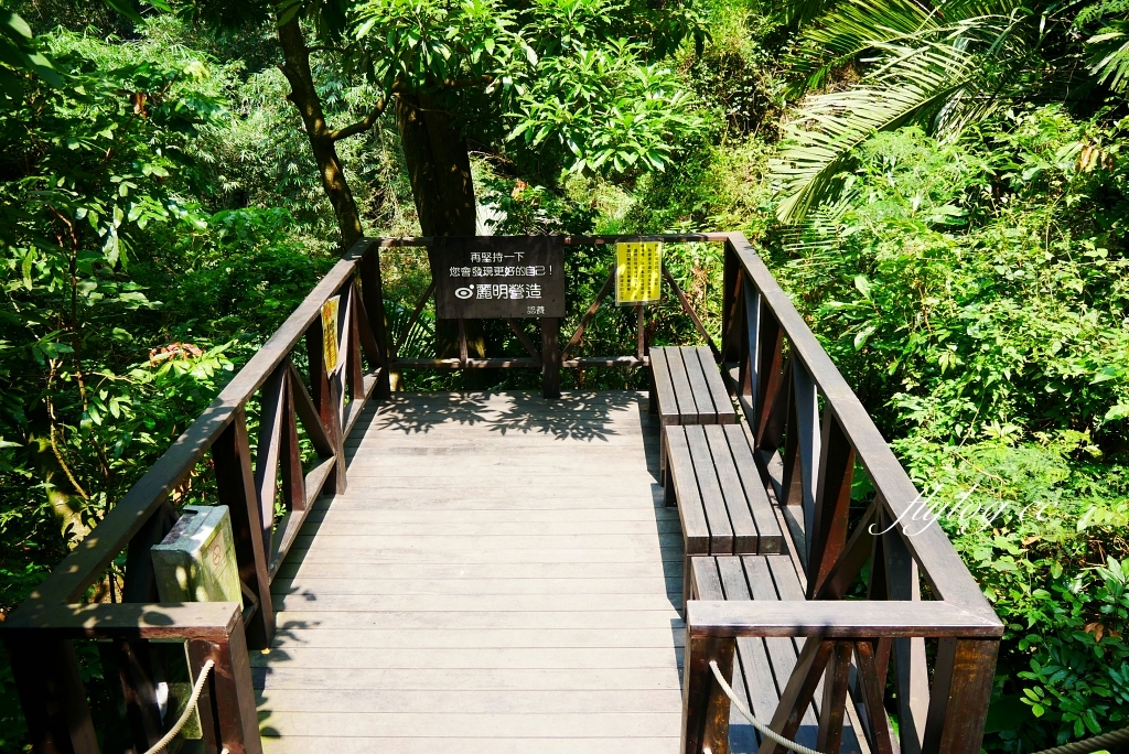 台中北屯｜大坑10號步道．充滿綠意的自然景觀，階梯涼亭眺望市景 @飛天璇的口袋