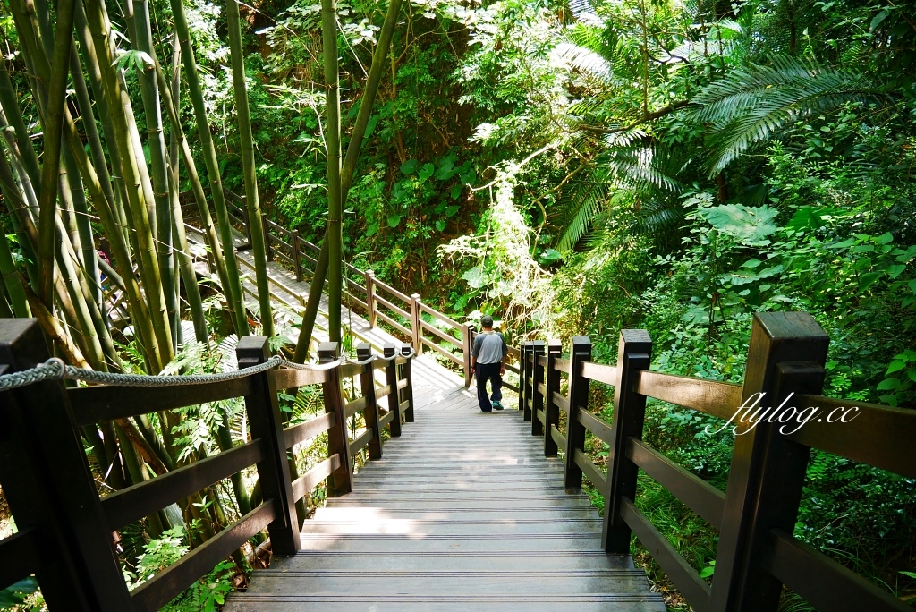 台中北屯｜大坑10號步道．充滿綠意的自然景觀，階梯涼亭眺望市景 @飛天璇的口袋