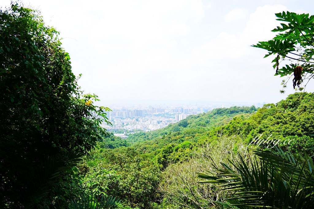 台中北屯｜大坑10號步道．充滿綠意的自然景觀，階梯涼亭眺望市景 @飛天璇的口袋