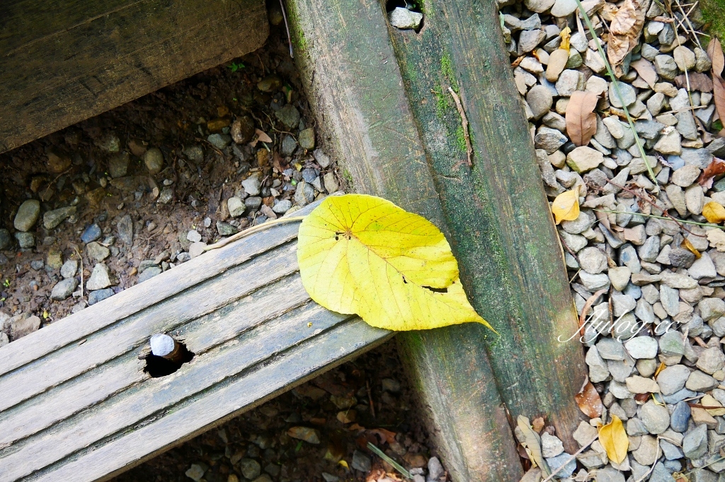 台中北屯｜大坑10號步道．充滿綠意的自然景觀，階梯涼亭眺望市景 @飛天璇的口袋