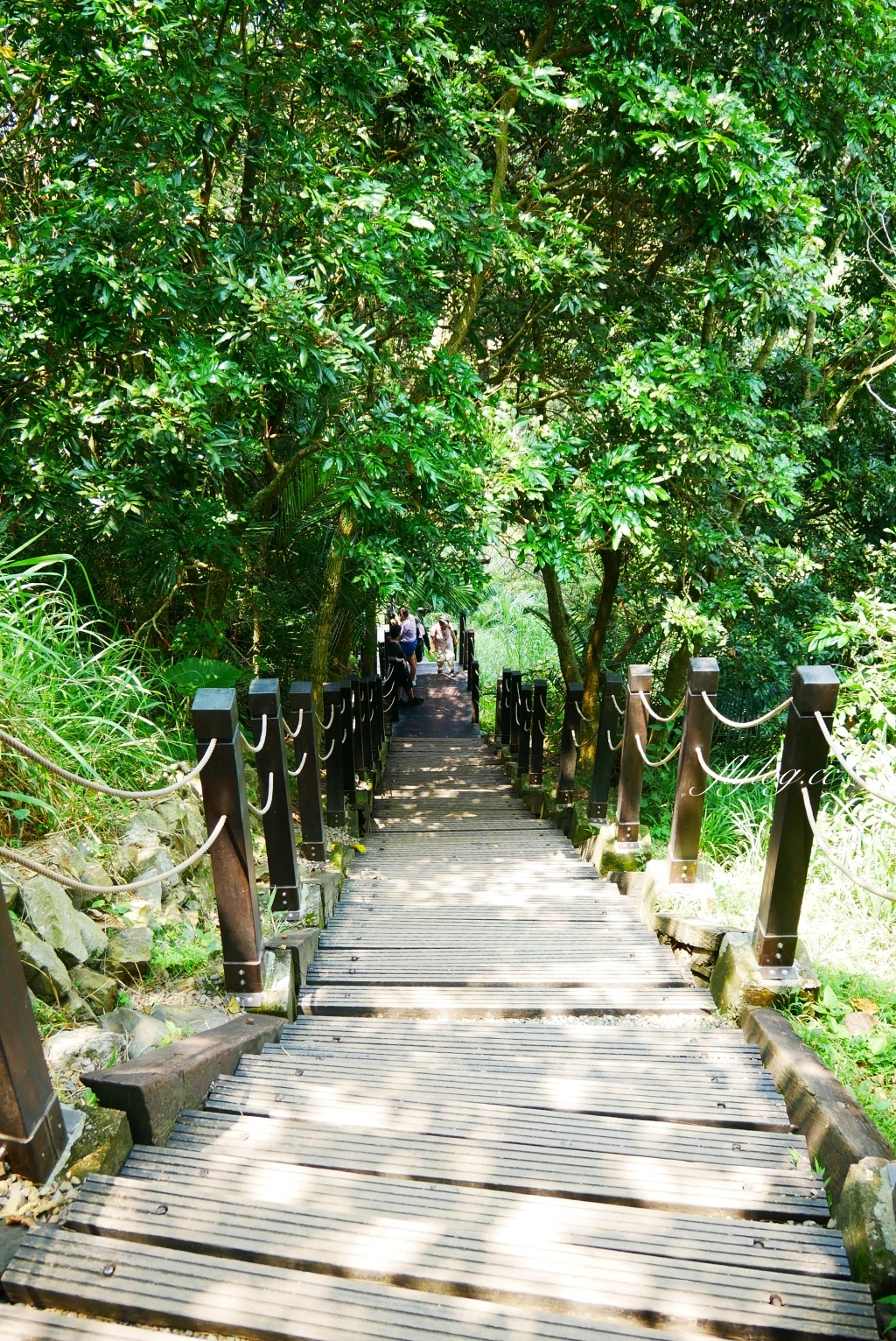 台中北屯｜大坑10號步道．充滿綠意的自然景觀，階梯涼亭眺望市景 @飛天璇的口袋