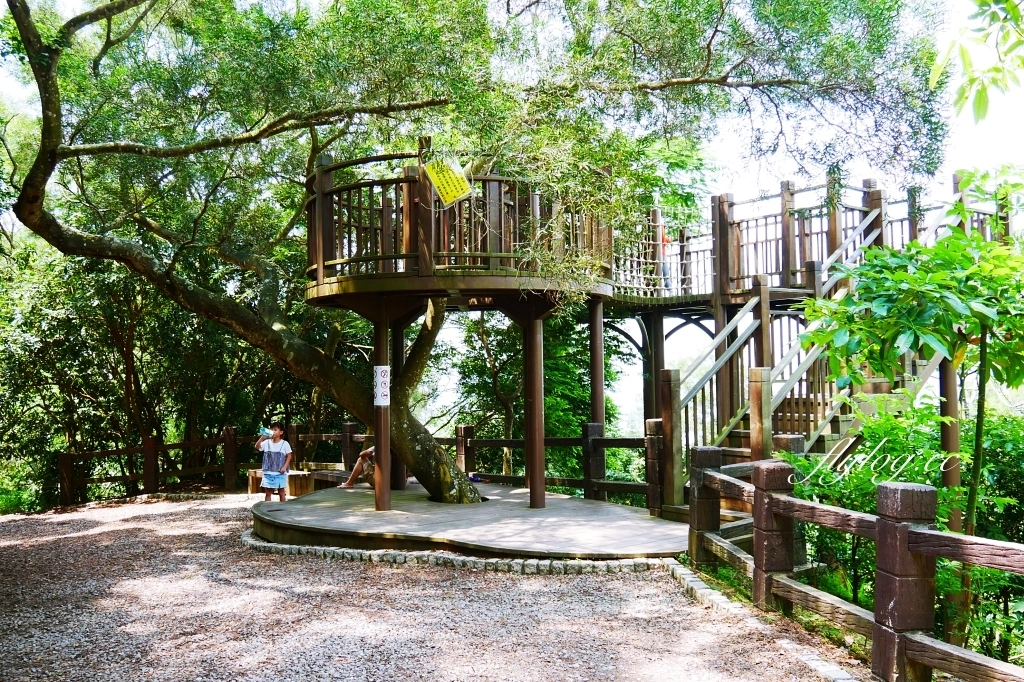 台中北屯｜大坑10號步道．充滿綠意的自然景觀，階梯涼亭眺望市景 @飛天璇的口袋