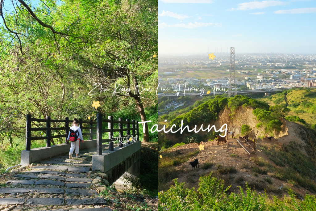 台中龍井｜竹坑南寮登山步道．全長5500公尺古道，享受山林鬱鬱蔥蔥遼闊視野 @飛天璇的口袋