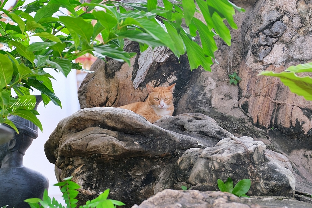 泰國曼谷｜臥佛寺 Wat Pho，曼谷歷史最久的寺廟，傳統泰式按摩的發源地 @飛天璇的口袋