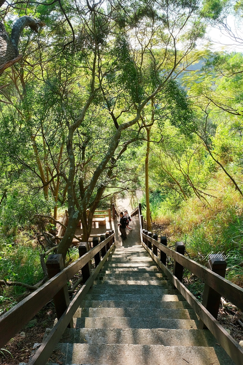 台中龍井｜竹坑南寮登山步道．全長5500公尺古道，享受山林鬱鬱蔥蔥遼闊視野 @飛天璇的口袋