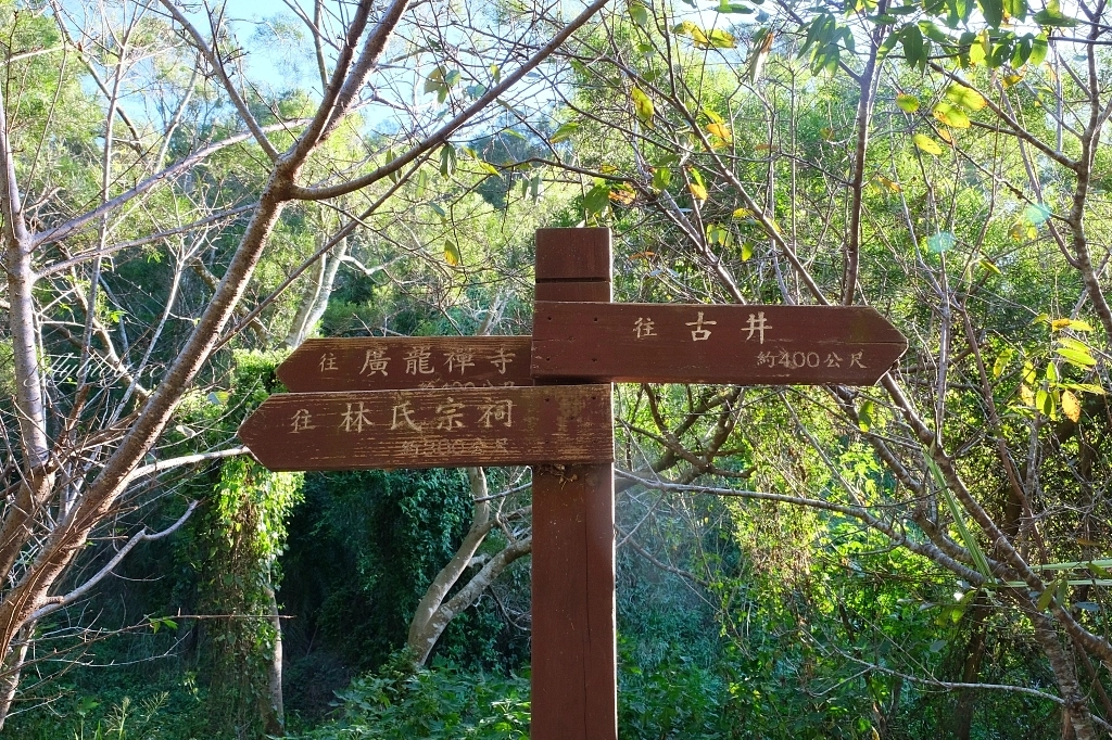 台中龍井｜竹坑南寮登山步道．全長5500公尺古道，享受山林鬱鬱蔥蔥遼闊視野 @飛天璇的口袋