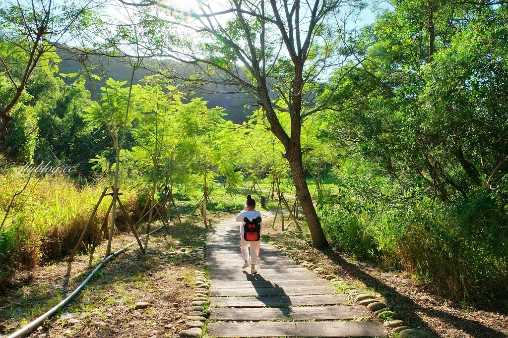 台中龍井｜竹坑南寮登山步道．全長5500公尺古道，享受山林鬱鬱蔥蔥遼闊視野 @飛天璇的口袋