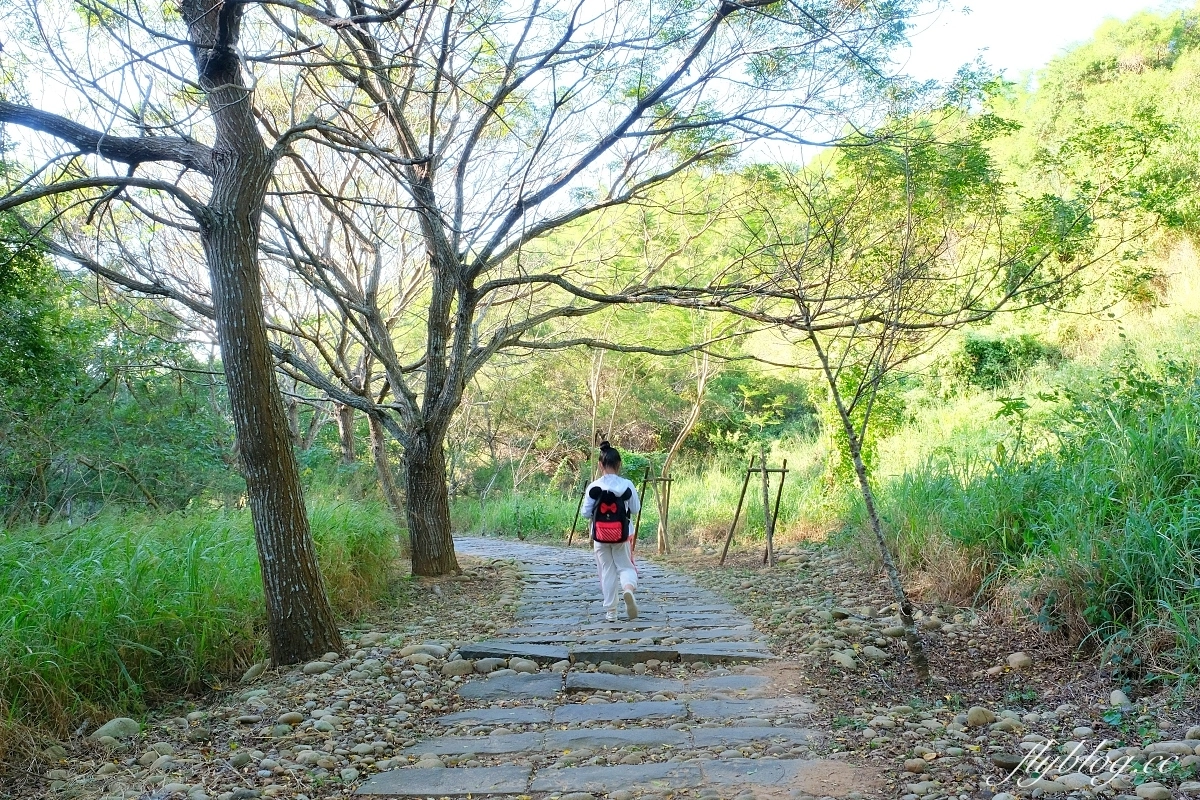 台中龍井｜竹坑南寮登山步道．全長5500公尺古道，享受山林鬱鬱蔥蔥遼闊視野 @飛天璇的口袋