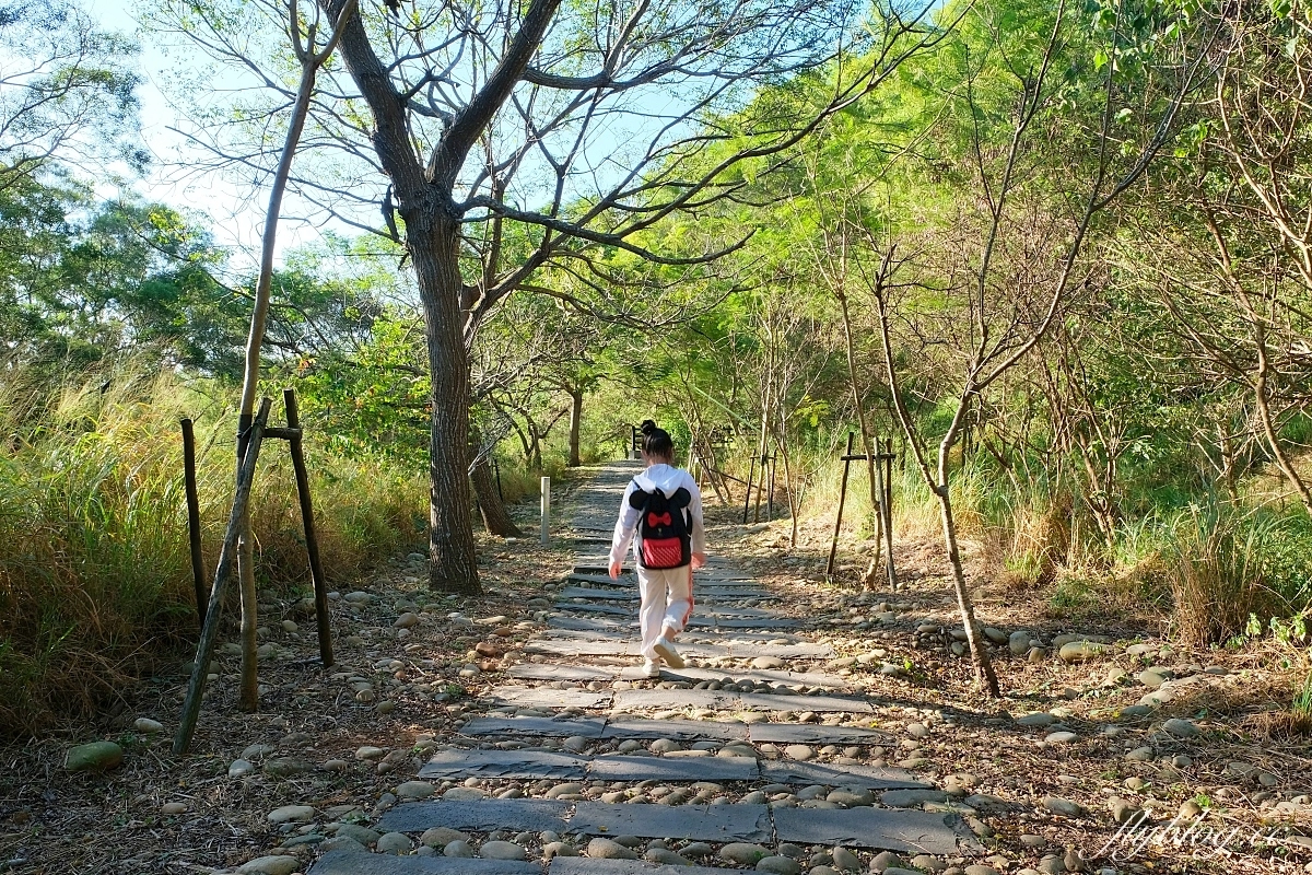 台中龍井｜竹坑南寮登山步道．全長5500公尺古道，享受山林鬱鬱蔥蔥遼闊視野 @飛天璇的口袋