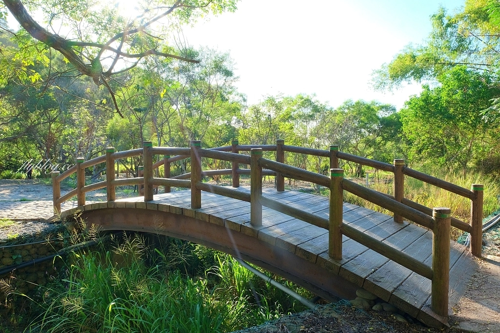 台中龍井｜竹坑南寮登山步道．全長5500公尺古道，享受山林鬱鬱蔥蔥遼闊視野 @飛天璇的口袋