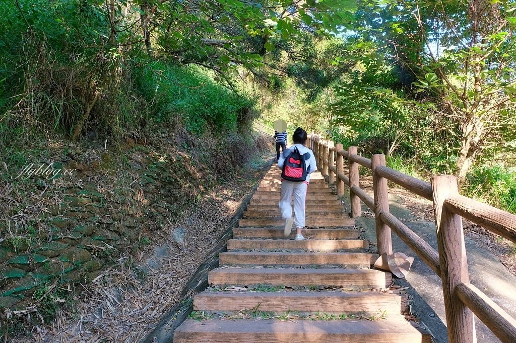 台中龍井｜竹坑南寮登山步道．全長5500公尺古道，享受山林鬱鬱蔥蔥遼闊視野 @飛天璇的口袋