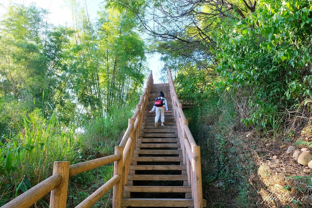 台中龍井｜竹坑南寮登山步道．全長5500公尺古道，享受山林鬱鬱蔥蔥遼闊視野 @飛天璇的口袋